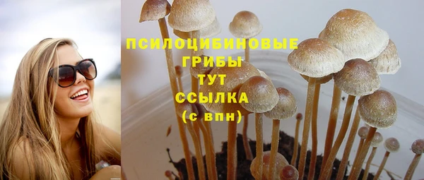 хмурый Алзамай