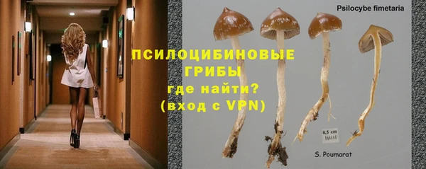 хмурый Алзамай