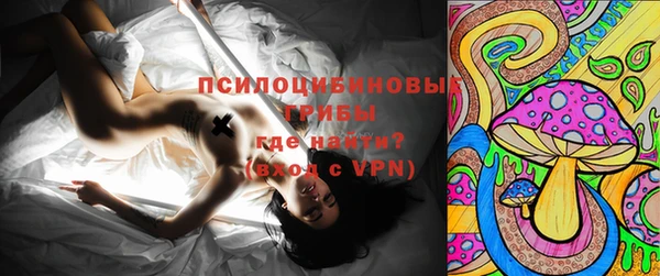 хмурый Алзамай