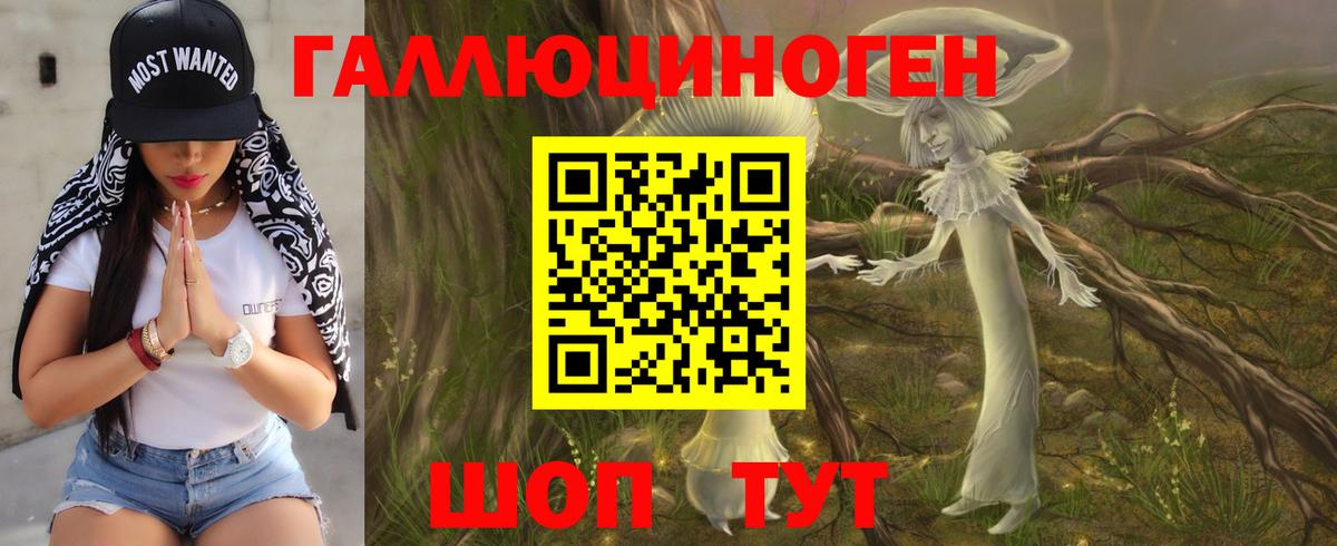 Клин  Галлюциногенные грибы GOLDEN TEACHER  Вход с VPN  Галлюциногенные грибы мицелий 