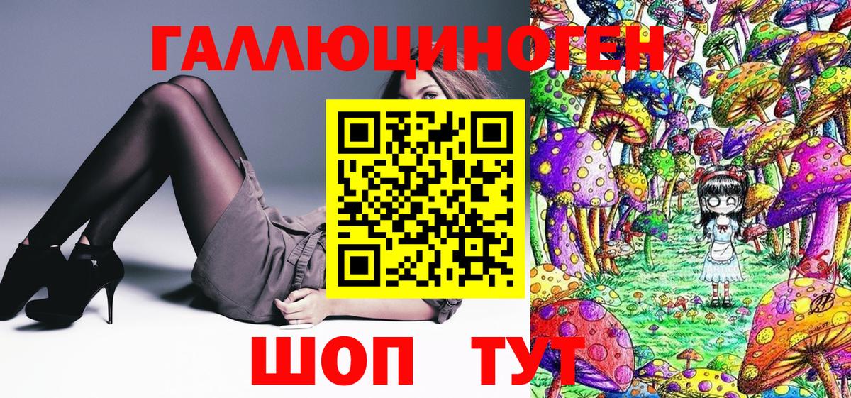 Псилоцибиновые грибы Psilocybine cubensis Клин