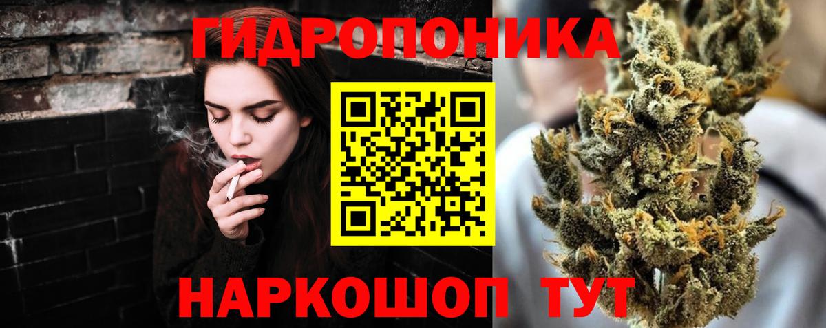 Канабис индика Клин